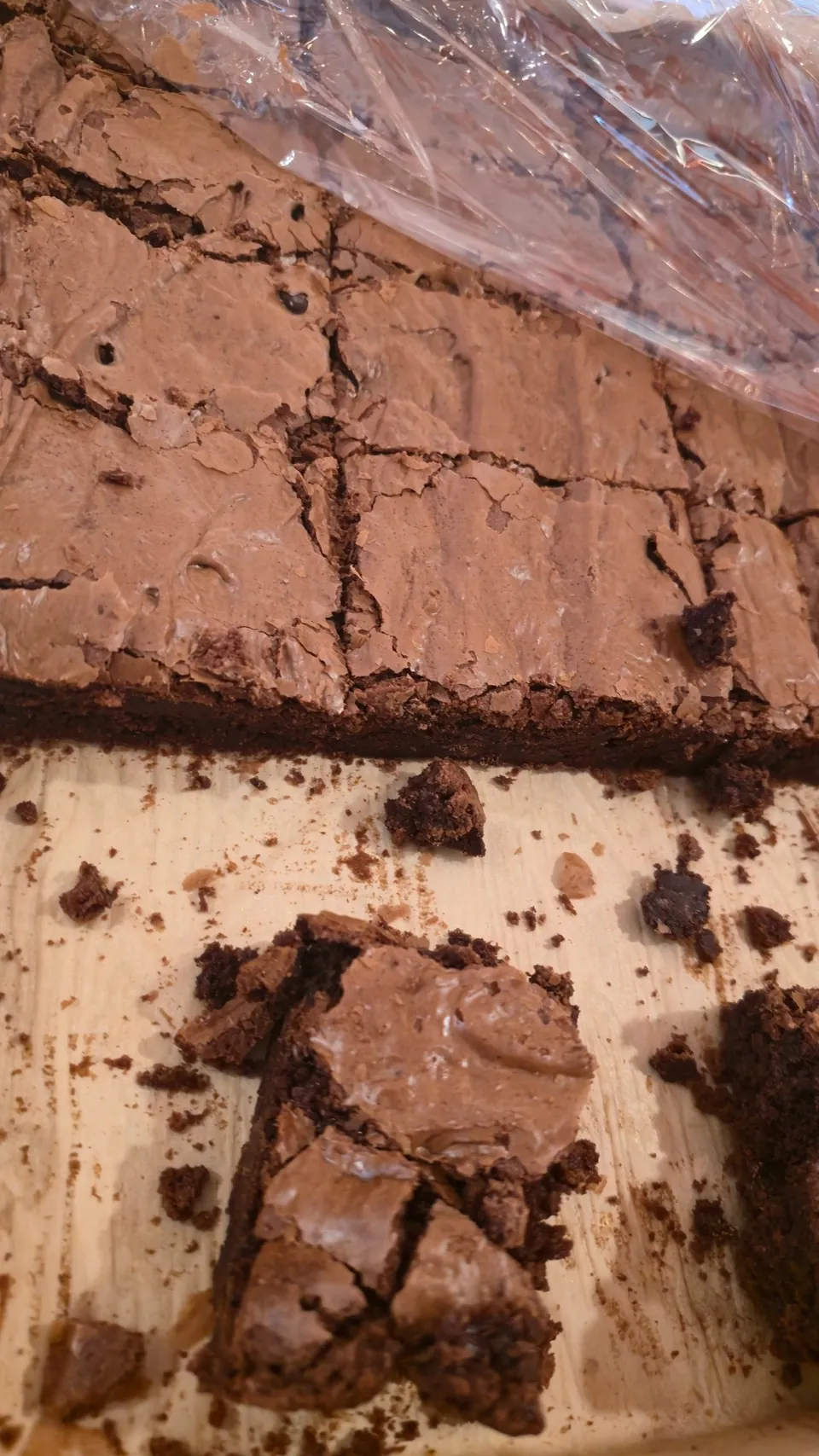 Fresh-baked chocolate brownies with rich chocolate frosting